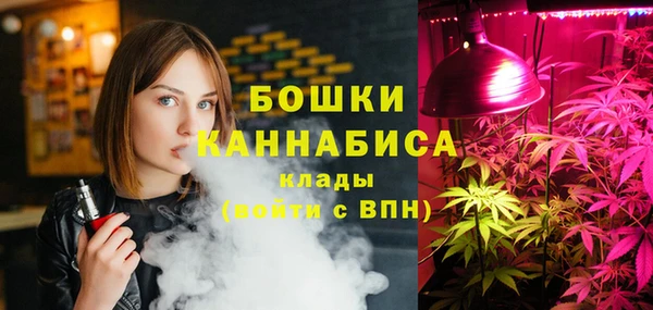 молекула духа Волоколамск