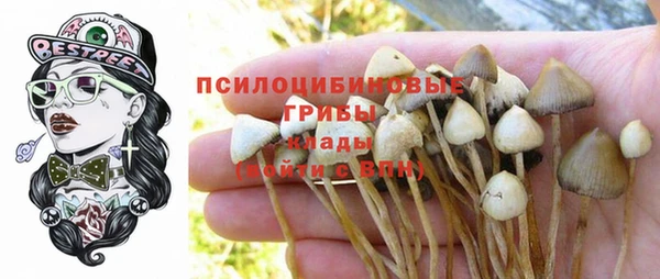 молекула духа Волоколамск